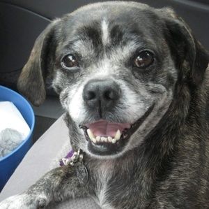 Meet your Posher, Christina